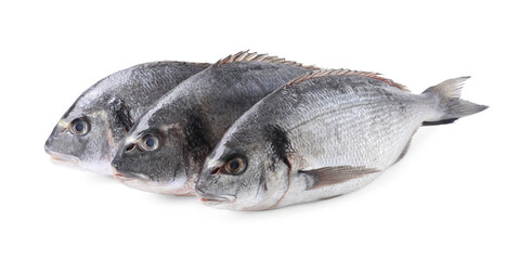 Fresh raw dorado fish isolated on white