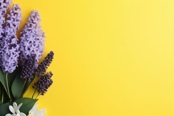 hyacinth and eucalyptus on yellow background copy space