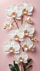 3d orchid flowers