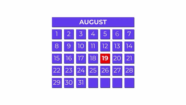 19th August calendar icon animation. Alpha matte with transparent background 4K resolution.