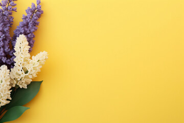 hyacinth and eucalyptus on yellow background copy space