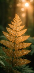 A beautiful nature backdrop with a close up of a fern with waterdrops and blurred background.