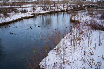 Calgary Alberta, Prince's Island Park