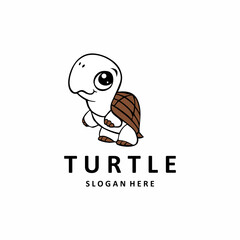 turtle on white background