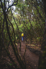 Female tourist with backpack walks through a misty laruel forest path on a rainy day. 25 Fontes Waterfalls, Madeira Island, Portugal, Europe.