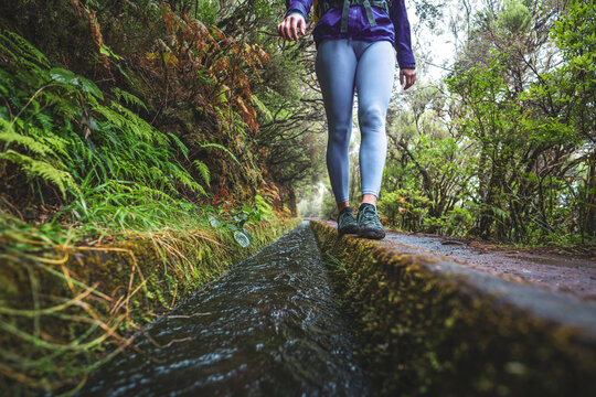 Low angle shot of female tourist with backpack balances on water channel path through a laural forest on a rainy day. 25 Fontes waterfalls, Madeira Island, Portugal, Europe.