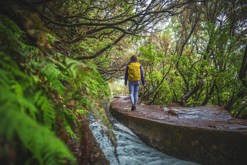 Female tourist with backpack walks along curved sloping water channel overgrown with laural tree branches on a rainy day. 25 Fontes waterfalls, Madeira Island, Portugal, Europe.