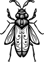 insect cartoon