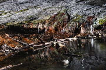 Icicles in Flooded Woodland Cave