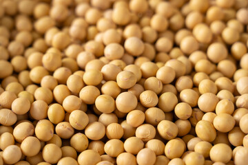 Dried soybeans seeds texture background.