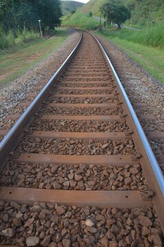railroad tracks in the forest
