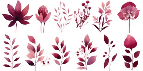 Burgundy several pattern flower, sketch, illust, abstract watercolor