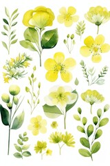 Chartreuse several pattern flower, sketch, illust, abstract watercolor, flat design, white background