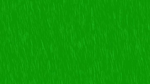 Rain fall  video