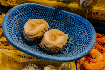 Abalone.