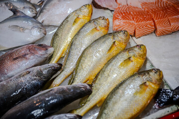 Fish stall.