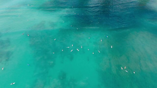 Aerial group of people hanging on surfing boards on Oahu, Hawaii 4K. Top down view of surfers waiting for green waves. Cinematic Scenic shot of teal waves of transparent waters on Waikiki beach, USA