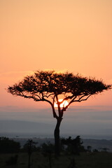 Kenya - sunset 1