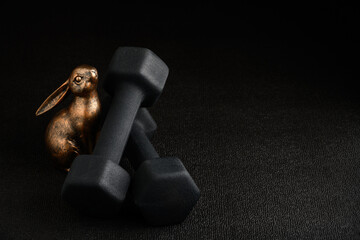 Holiday fitness and Happy Easter, gold metal bunny with a pair of dumbbells on a black background looking up adoringly
