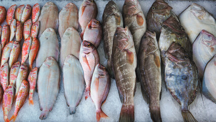 Seafood prepared for sale at the fish market in Kusudasi. Türkiye