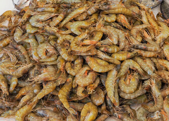 Seafood prepared for sale at the fish market in Kusudasi. Türkiye