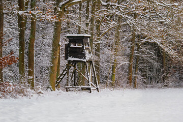 A hunting lodge on the edge of the forest, a winter view of the forest after fresh snow, a...