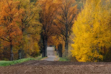 Papier Peint photo autocollant Denali Autumn, near the town of Pasłek, Warmian-Masurian Voivodeship, Poland