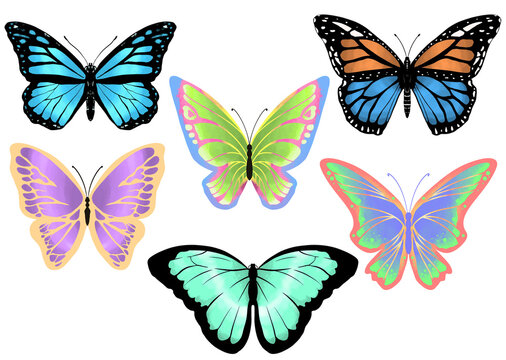 Butterfly illustration by syahid zain