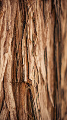 Macro, Photo, Chunky, Tree Bark, Pine Bark, Texture, Trees, Forest, Closeup, Nature, Woodland, Natural Patterns, Rough Surface