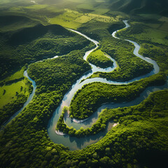 An aerial view of a winding river cutting through a lush green landscape.