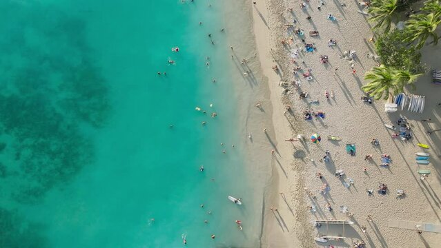 Rich tourists relaxing outdoor, sitting under colorful beach umbrellas. Tropical vacation resort lifestyle Oahu. Overhead view on men and women swimming in blue ocean. Travelers tanning summer holiday