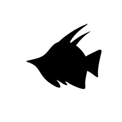 Fish silhouette