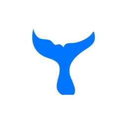 shark tail dolphin whale vector