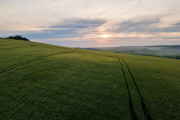Fototapeta premium Aerial landscape of green farmland in summer season with growing crops. Agricultural cultivated field. Farming and agriculture industry