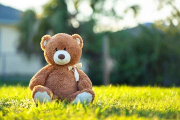 Fotobehang Concept of childhood. Big plush teddy bear sitting alone on green grass lawn in summer © bilanol