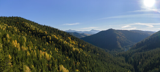 High hills with dark pine woods on autumn bright day. Amazing scenery of wild mountain woodland