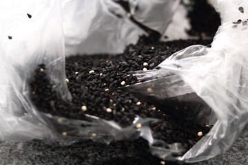 Black cumin seeds in plastic bag