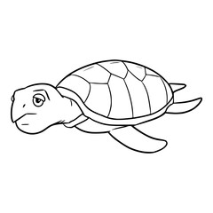 turtle illustration outline isolated vector