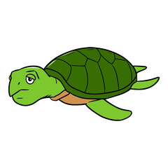 turtle illustration isolated vector