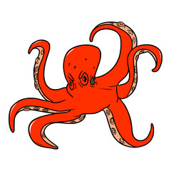 red octopus illustration isolated vector