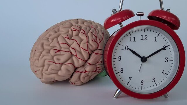Alarm clock and brain anatomy and insomnia treatment. Alzheimer disease and dementia treatment