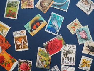 Fototapeta na wymiar オーストラリアの生物のデザイン切手 