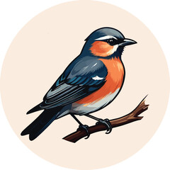 vector beautiful bird flat design .