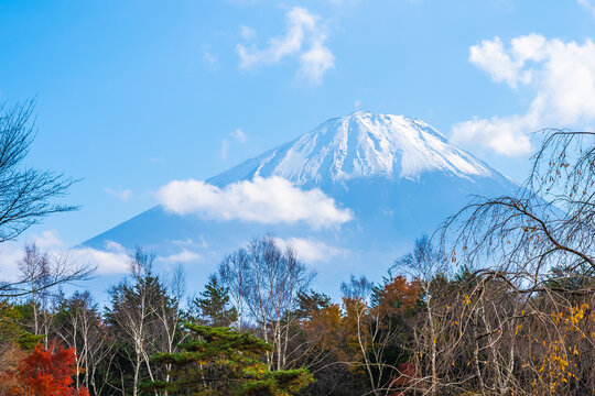 Beautiful landscape of mountain fuji with maple leaf tree around lake