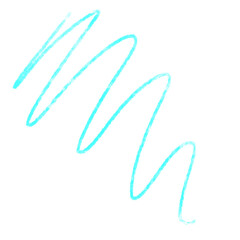 leaf isolated on white