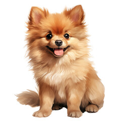 Joyful Pomeranian Dog Digital Illustration