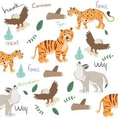 vector collection of cute carnivorous meat eating animals with seamless pattern
