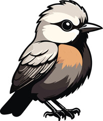 vector beautiful bird flat design .
