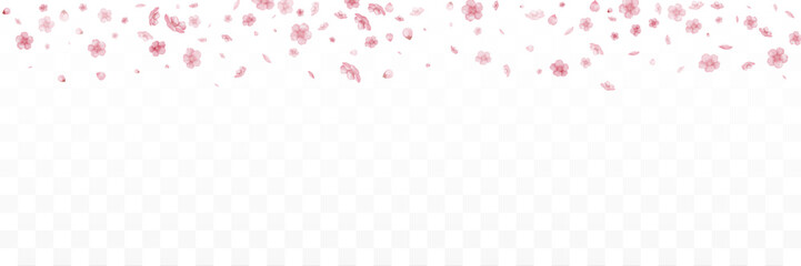 Falling flowers and petals of pink Sakura. - obrazy, fototapety, plakaty