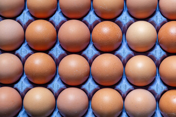 A full frame photograph looking down at eggs in a cardboard egg box